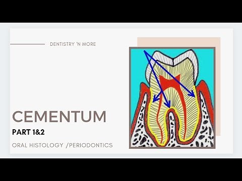 A to Z about CEMENTUM !