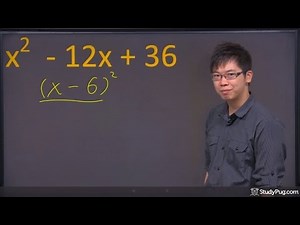 ʕ•ᴥ•ʔ Learn Factoring Perfect Squares Trinomials w/ a Quick Example