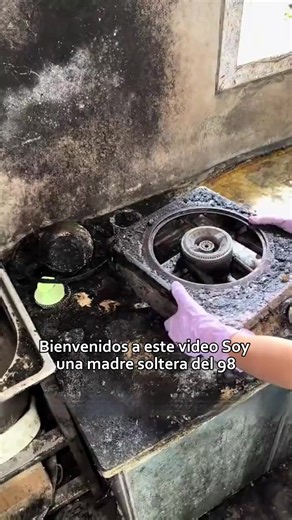 Limpieza profunda y limpieza general: consejos rápidos y fáciles