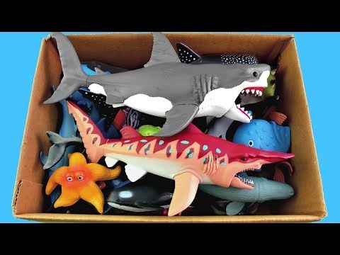 Learn Wild Zoo Animals names For Kids Education | Sea Animal