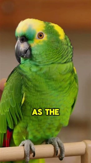 Parrot Roasts Cop About His Snoring 😂 #funnyshorts #parrot #police