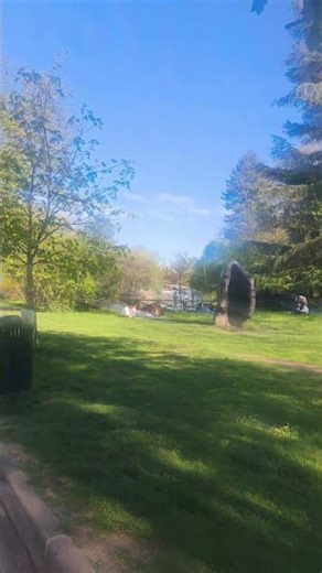 swimming in green #greenscreen