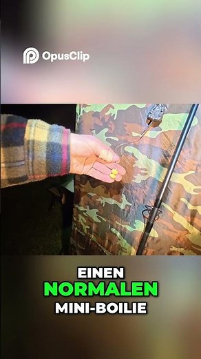 Karpfenangeln: Köder Geheimnisse für Anfänger enthüllt! #karpfenangeln