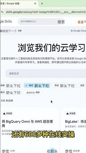老板不在：史上最全官方Gemini万赞教程全部白给