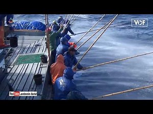 Tuna Fishing in the Azores Sea