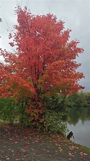 Ontario Fall Season at Ferris Provincial Park | Canada Travel 🍁