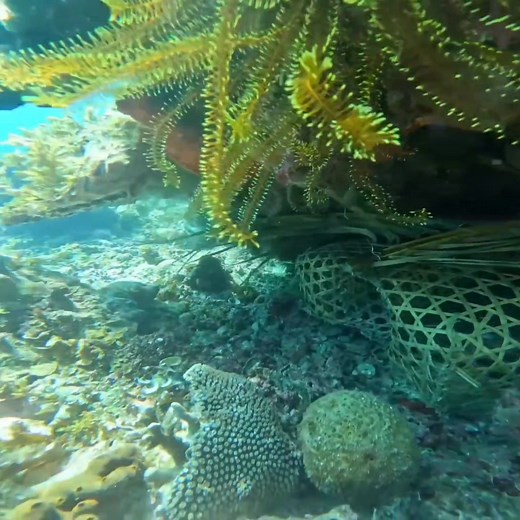 1.6M views · 25K reactions | Hindi Pa Kami Natapos Hango Ng Trap Pero Puno na Catch & Sell | AmazingSea Team | Facebook