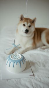 Emiko Kai & The Coco Family | Love at first sniff 🐶👶 My first dog with my first baby @nashcarson_ 🤏🏻🩵 | Instagram