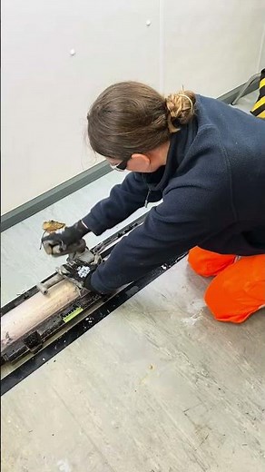 A Day in the Field: 24 Hours with Alana, Environmental Consultant at AECOM