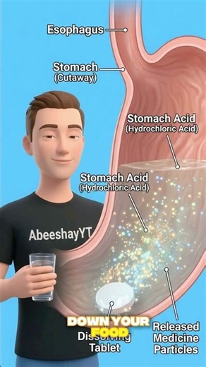 What Happens Inside Your Body When You Take Medicine? 💊 | Human Body Explained