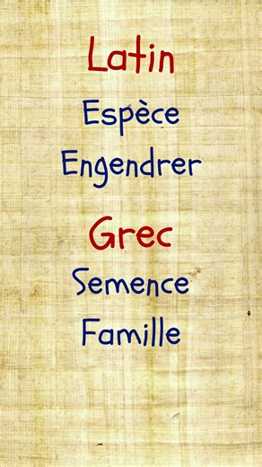 La racine d'une génération👶#étymologie #linguistique #grec