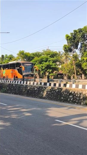 BUS TV TRANS, BUS WARNA ORANGE MENYALA 🤩🤩🤩. #tividi #efisiensi #bus #busmania #busindonesia