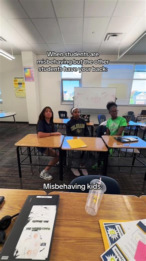 Handling Misbehavior in Class with Student Support