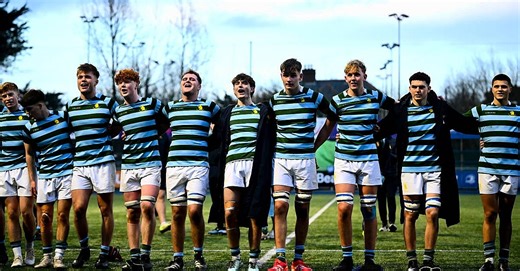 Leinster Senior Cup Tie To Be Replayed After Ineligible Player Fielded | Balls.ie