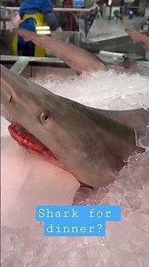 How do you know how to cook shark meat?
