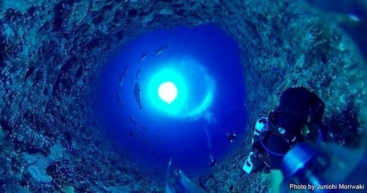 水中360°動画をアプリやソフトで2D動画に編集する方法｜360°VR｜水中写真｜Marine Diving web（マリンダイビングウェブ）