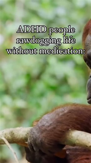 I’m a caveman . . . #adhd #adhdmemes #audhd #asd #adhdlife #adhdbrain #adhdsupport | ADHD Meme Therapy