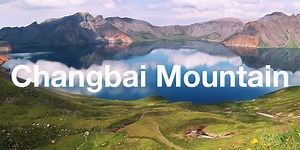 In the heart of China, there is a thriving ecosystem of rare wildlife that live on a lava plateau. And preservation efforts there, in the Changbai Mountain region, are a prime example of how important it is to preserve and protect lush and bio-rich areas. | The China Current