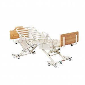 [Hot Item] Premium Adjustable Electric Care Bed with 10-Button Remote Control