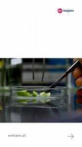 ✨ Discover Warsaw University of Technology (WUT), Poland's premier...