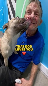 81K views · 4.4K reactions | No longer homeless for a year! ❤️ #love #kindness #blessings #hope #help | Travis Doodles | Facebook