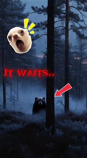 Something Is Watching in This Forest. #viral #shorts #fyp