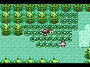 Wally defeating Ralts during the capture demonstration (Generation III)