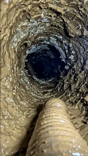 The 10-Foot Real Life Monster Worm: 24 Hours with a Giant Earthworm POV 🪱🌊