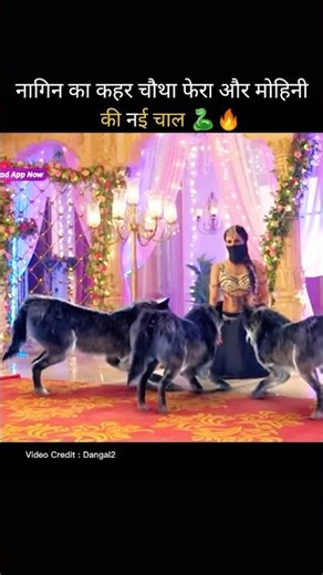 नागिन का कहर चौथा फेरा और मोहिनी की नई चाल 🐍🔥 | Explain Doll | #shorts​#viral​#movie​#serial​