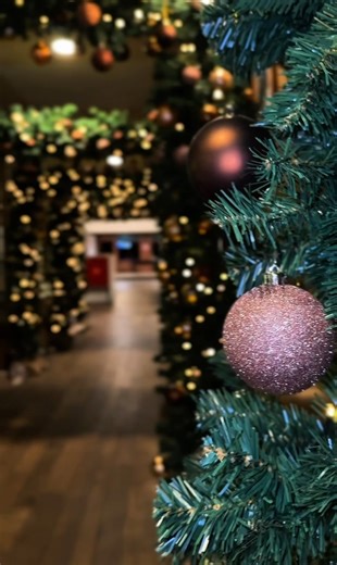 🎄✨Saraland is helemaal ondergedompeld in kerstsfeer! Overal lichtjes, kerstbomen en gezelligheid... 🎄 Kom langs en beleef samen met de kids de magie van Kerst bij Saraland ❤️ | Saraland