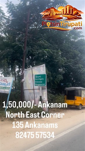 Plotsin Tirupati on Instagram: "Tirupati lo DAILY CROWD undey commercial plot kavala? Srinivasa Mangapuram Temple pakkane North East Corner Commercial Plot for Sale. 50×96 measurements Total 135 Ankanams Each Ankanam ₹1,50,000 only. Just 500 meters lo Sri Kalyana Venkateswara Swamy Temple Adjacent ga TTD Kalyana Mandapam. Ikkanunchi ne Srivari Mettu start avuthundi. Madanapalli Road facing plot, Students daily Mohan Babu College ki travel chestharu. Already commercial activity unna full crowded 