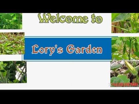 Lory's Garden is live Good afternoon to all