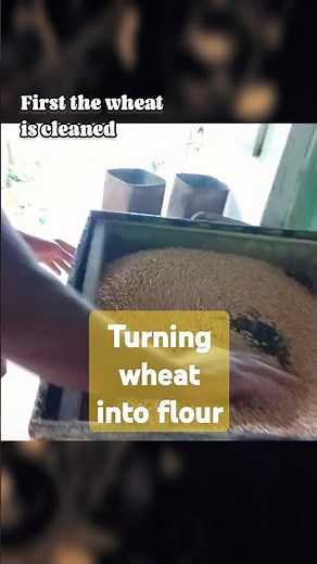From Wheat to Flour: The Amazing Milling Process