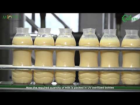 FLAVORED MILK PROCESSSING