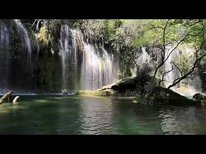 Love you in the fall paul westerberg