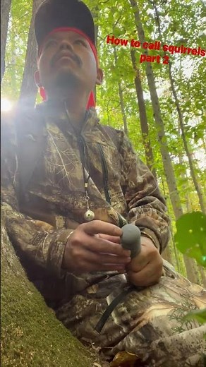 How to call squirrels part 2