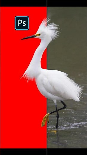 Adobe Photoshop 2026 | How to Fix Auto Background Removal Errors Like a PRO