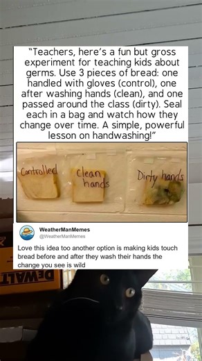 Love This Idea Too Another Option Is Making Kids Touch Bread Before And After They Wash Their Hands