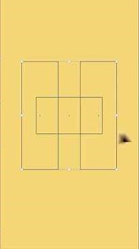 How many optical illusions?