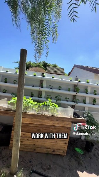 Aquaponics update: Still building the vertical tower! Here’s a closer look at how the water flow will work once it’s all set up. Stay tuned! 💧#Aquaponics #VerticalFarming #WaterFlow #DIY #SelfSufficient #SustainableFarming #BuildInProgress #Organic #Update #CapeTown #LearnWithMe