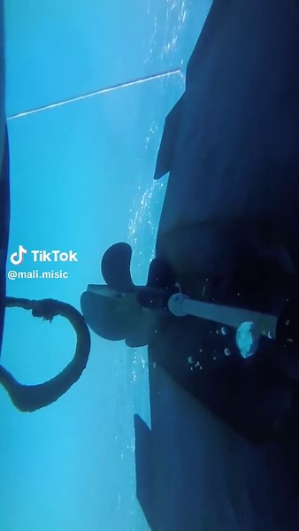 Felicita Remix: La Magia de la Música