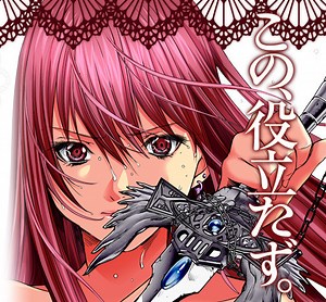 Holy Knight Video Anime Slated for March 21