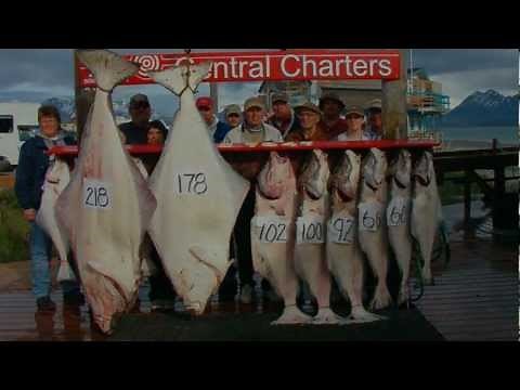 Guided Fishing Halibut Salmon Rock Fish On Kachemak Bay | Central Charters & Tours | Homer, Alaska