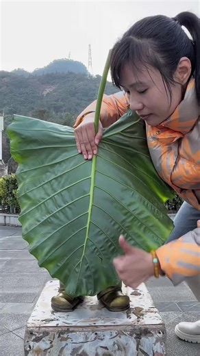 Exploring the Art of Wood Carving: Masterpieces and Techniques