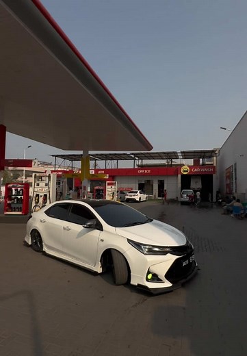 Exploring the Allure of White Wolves in Nature