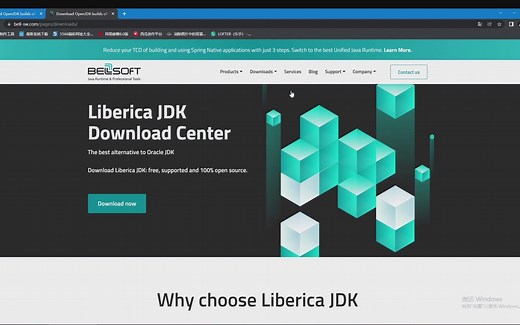 如何下载Java17(最新方法）