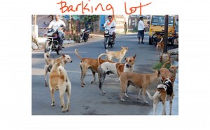 Grade 4 Unit 2 Lesson 3 Mental Math And Multiplication | Educreations