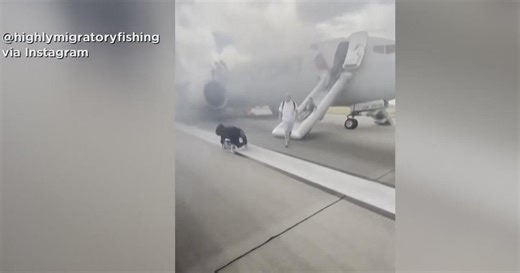 Passengers evacuate American Airlines plane at Denver airport