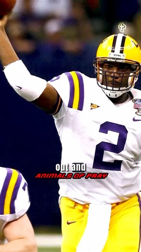 Animals Of Pray on Instagram: "JaMarcus Russell On The Truth About Being The Biggest Bust @thepivot"