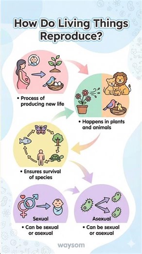 How Do Living Things Reproduce? 🤔#education #learning #facts #science #biology #reproduction